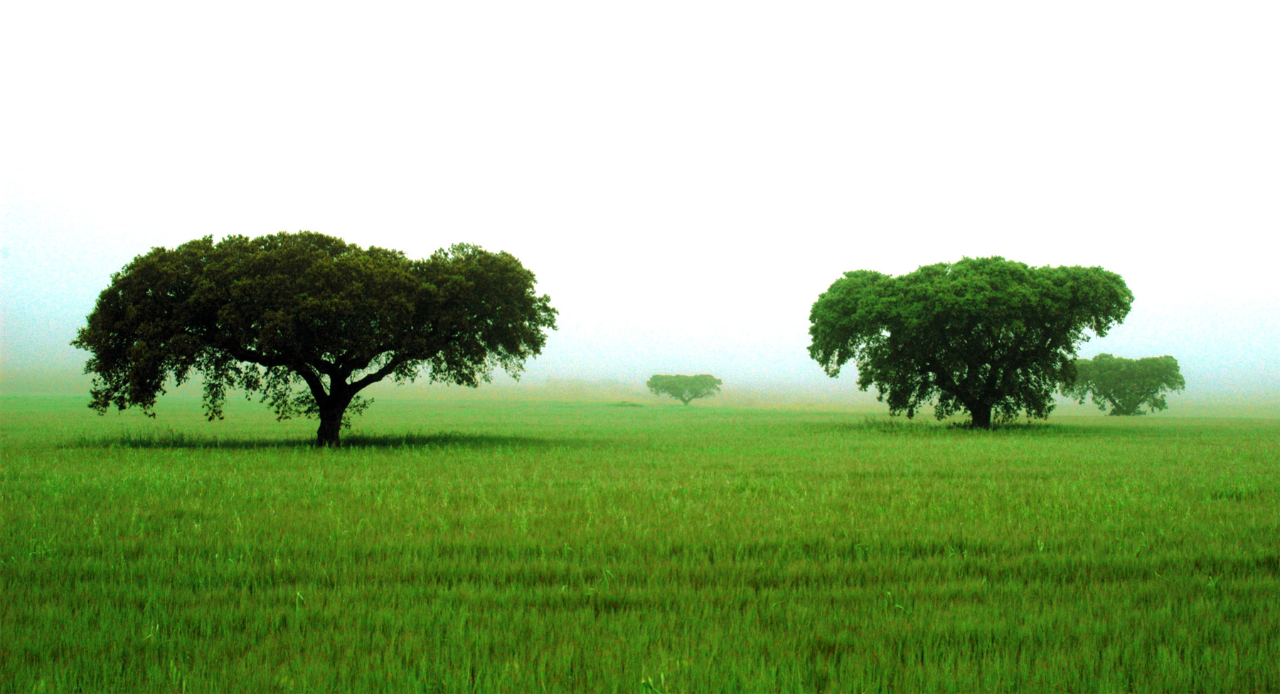 Alentejo