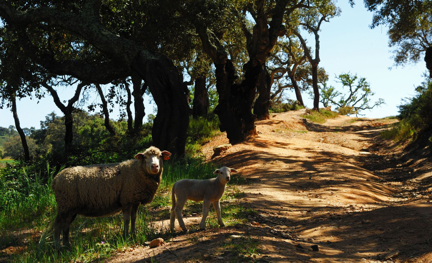 Alentejo